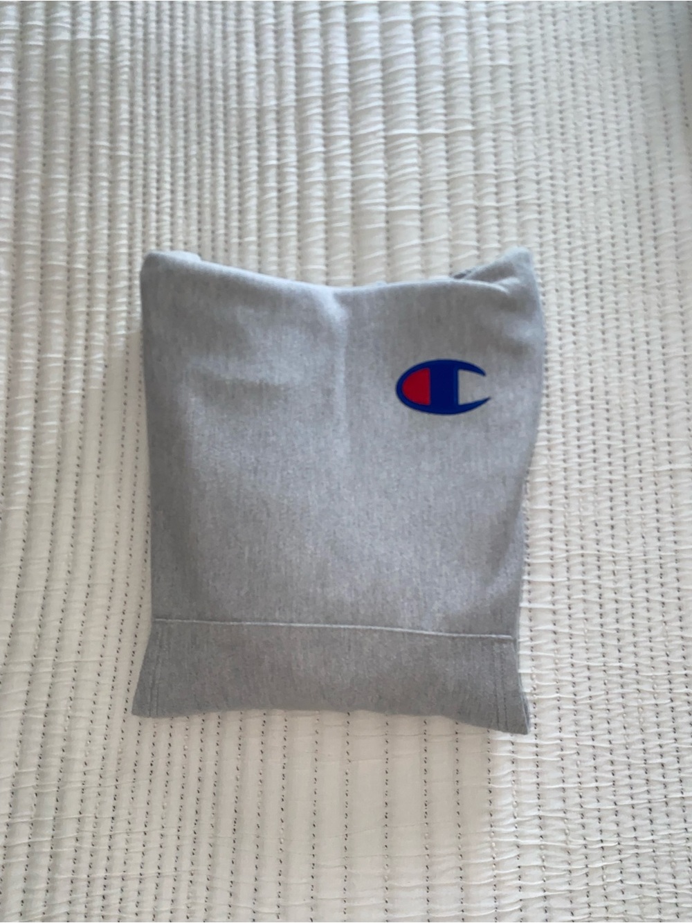 Champion Gray Hoodie with Blue Script Logo on Sleeve